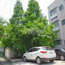 동서로5길 이미지