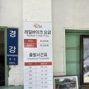 펫맘애 | 춘천당일치기 애견동반 코스 여행 경강레일바이크 펫