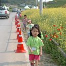 돌곶이공원 네이버블로그