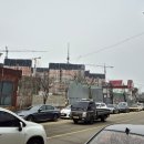 탄현면사무소 이미지