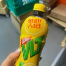 홍콩노래짱