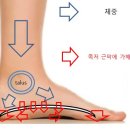 기능동작아카데미 이미지