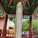 2025 6월 시티투어 이미지