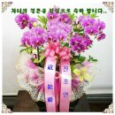 김*성 이미지