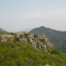 금정-6 이미지