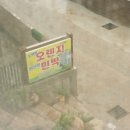 노력항민박 이미지