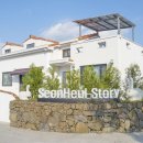 선흘주택 | 제주 자연의 감성을 그대로 느낄 수 있는 독채 펜션 [선흘 스토리]