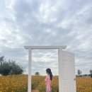 안성팜랜드 푸드트럭 이미지