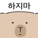 카페요거트아이스크림의정석 이미지