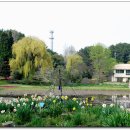 천리포수목원 이미지