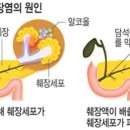 아래 이미지