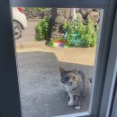 극단삼달리의별