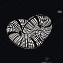 이석휴정형외과의원 이미지