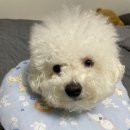 카라인 용품점 이미지