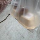 늘티 | 3월 일상 / 달려온 나의 청춘아 허락해 줘