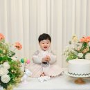 비바이디