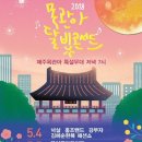 제주대학교 윈드심포니 정기연주회 | 5월 첫째 주 제주공연 소식 : 4월 30일 ~ 5월 8일