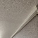 테일웨거 이미지