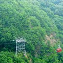 보물단지 이미지