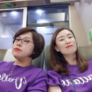 보라인셀덤 이미지