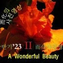 [0712'23] 상반기 II O A WONDERFUL BEAUTY 이미지