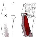 팰리스짐 이미지
