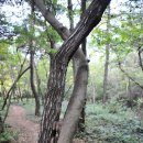 구불5길(물빛길) 이미지