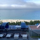 호텔 오션뷰 | 강릉 세인트존스호텔 오션뷰 내돈내산 후기 수영장 애견 동반 숙소 호텔 추천 ♥