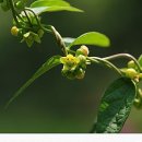 수원-0706 이미지