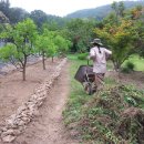 서당골농장 이미지