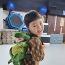 무들마리 태권도장 이미지