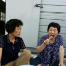 윤자농장 이미지