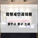 파랑새안과의원