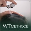 엠비컨설팅 | 전문적인 맞춤형 송파 두피관리 WT메소드 송파점