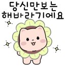 송탄간호학원