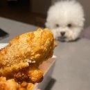 다이어트 중에도 괜찮은 굽네치킨 오븐 바사삭 먹어본 후기 🍗
