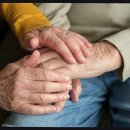 용인효요양병원 이미지