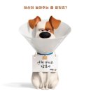 마이펫스토리 이미지