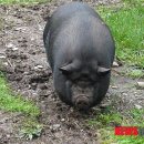 룰루랄라 이미지