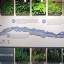 국립DMZ자생식물원방문자센터 이미지