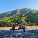 보현산자연휴양림 이미지