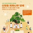 인천신현동회화나무 | [인천서구문화원] 2025년 인천서구민속행사 &#34;신현동 회화나무 당제&#34; 개최 안내