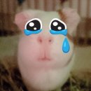 행복한떡집 이미지