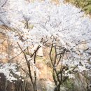 신바람당구장 | 월악산 덕주 야영장, 그 2번째 캠핑 일기