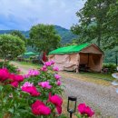 금모래민박 이미지