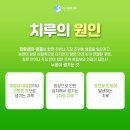 위대항외과의원 이미지