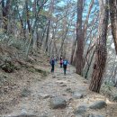 해인사 소리길 이미지