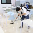 에덴크린청소업체 네이버블로그
