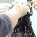 칼라체인지 Daum카페