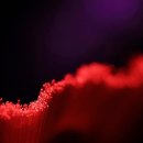 뿌리신경외과의원 이미지